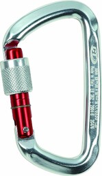 Climbing Technology D-Shape SG Karabinek, Srebrny/Czarny