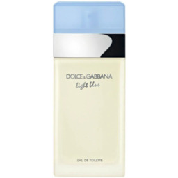 Dolce Gabbana Light Blue Woman Woda Toaletowa 100ml