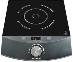 Hyundai Ind133