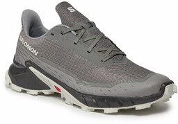 Buty do biegania Salomon Alphacross 5 473133 29