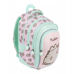 Plecak 4 komorowy Pusheen pink