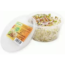 Kiełki mieszane ekologiczne (0,05 kg) (EKO)