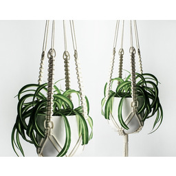 Pakamera Kwietnik makrama ''ALA''