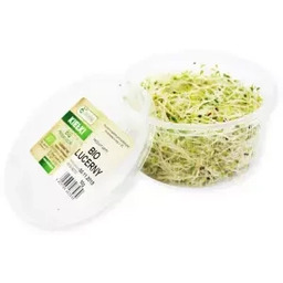 Kiełki lucerny ekologiczne (0,05 kg) (EKO)