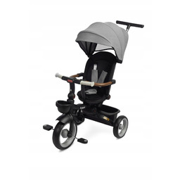 Toyz by Caretero Saber rowerek obrotowy trójkołowy spacerowy