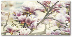 Foto obraz szkło hartowane Magnolia