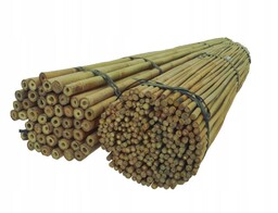 Tyczki bambusowe 105 cm 8/10 mm /100 szt/,