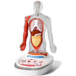 ScienceCan Model 3D z ludzkiego ciała - podróż