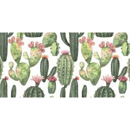 Tapeta Samoprzylepna we Kaktus 100x244 cm