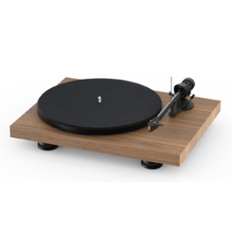 Pro-ject Debut Carbon EVO Kolor: Orzech