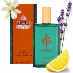 WODA KOLONSKA ASPEN PERFUMY ORYGINALNE MESKIE DLA MEZCZYZN
