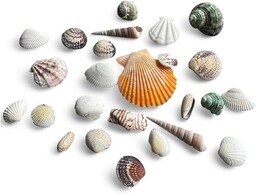 PARENCE.- Real Shell Mix - Dekoracja akwarium