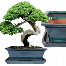 Donica Do Bonsai Z Podstawką Ceramiczna Szkliwiona Turkusowa