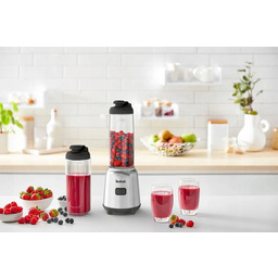 Blender kielichowy Tefal BL15FD30 300 W Srebrny-Szary