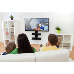 2X Art Półka ścienna Podwójny Dvd/tuner 10KG D-50N