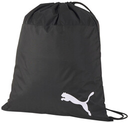 Puma TeamGOAL 23 worek na buty 03