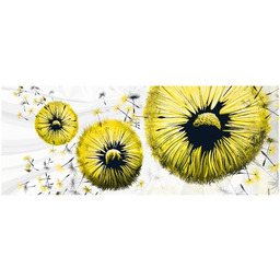 100cm 40cm obraz ścienny Żółte dmuchawce druk