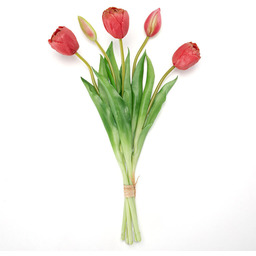 Decodoma Bukiet pełnych tulipanów 39 cm, 5 szt.