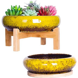 ARTKETTY Duże Doniczki Bonsai 18,5/25 cm z Tackami
