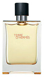 Hermes Terre D Hermes, Woda toaletowa 100ml -