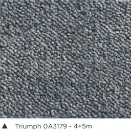 Wykładzina dywanowa AW Triumph 79 (domowa) 5m