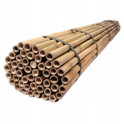 Tyczki Bambusowe 240 cm 24/26 mm 25 szt