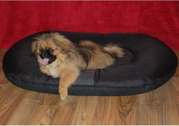 XXL Legowisko Ponton - Czarne z czerwoną lamówką