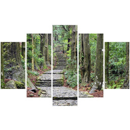 Obraz Japońska ścieżka przez las