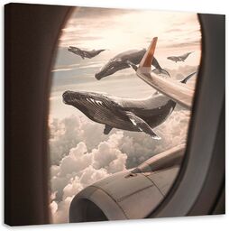 Obraz na płótnie, Widok na wieloryby z samolotu