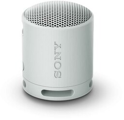 Sony SRS-XB100 5W Szary Głośnik Bluetooth