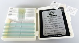 Konus Mikroskop Color Multi-Colour 4900