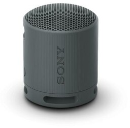 Sony SRS-XB100 5W Czarny Głośnik Bluetooth