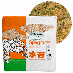 Mech Sphagnum Torfowiec Besgrow SpagMoss 500g 40L Mech