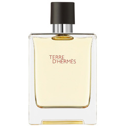 HERMES Terre D''Hermes EDT spray 100ml