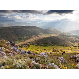 ETJA Olej Lniany BIO 50ml