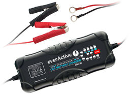 Ładowarka procesorowa 12V/24V everActive CBC-10 v2