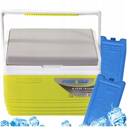 Mała lodóweczka do samochodu Pinnacle Tpx 6006 4,5L+2