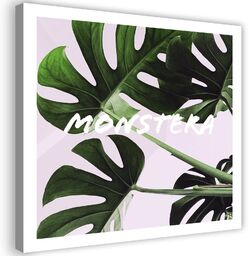 Obraz na płótnie, Egzotyczne liście Monstera 30x30