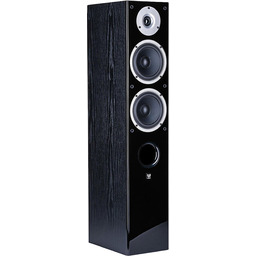 Wilson Raptor 5 - Kolumna głośnikowa podłogowa Czarny