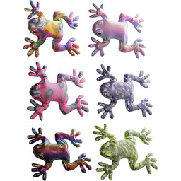 Nieznany Piasek Zwierzę Żaba Duża