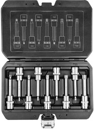 Końcówki Torx na nasadce 100 mm, zestaw 9