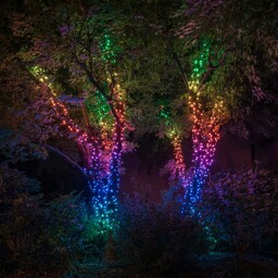 Łańcuchy świetlne twinkly RGBW, 250-fl. 20m przezroczyste