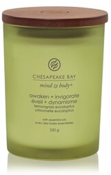 Chesapeake Bay Candle Mind & Body Awaken &
