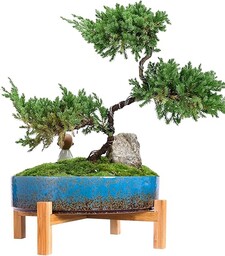 ARTKETTY Doniczki na rośliny, 29 cm, ceramiczna doniczka