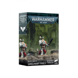 W40k: Blood Angels - Sanguinary Priest (1 figurka)