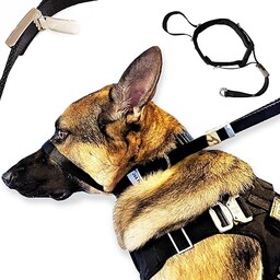 PetsProMax obroża dla psa, bez ciągnięcia, obroża treningowa