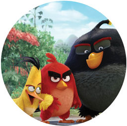 Dekoracyjny opłatek tortowy Angry Birds - 20 cm