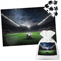 PUZZLE TRADYCYJNE - PIŁKA NOŻNA SPORT DRUŻYNA MECZ