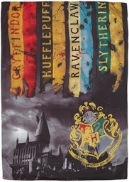 Disney HOUSSE DE COUETTE HARRY POTTER Garçon, Gris,