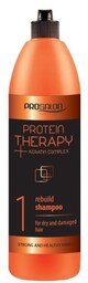 CHANTAL ProSalon Protein Therapy Szampon odbudowujący do włosów